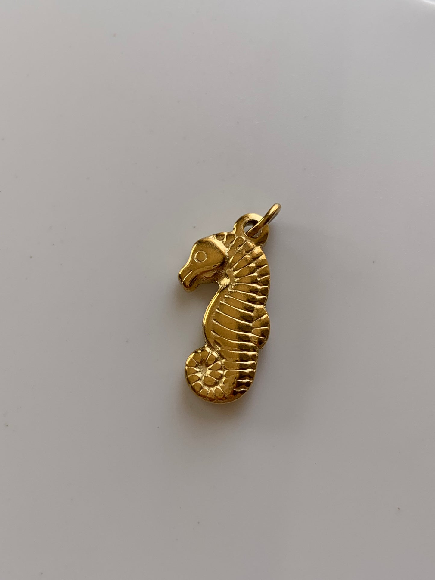 Charm Caballito de Mar