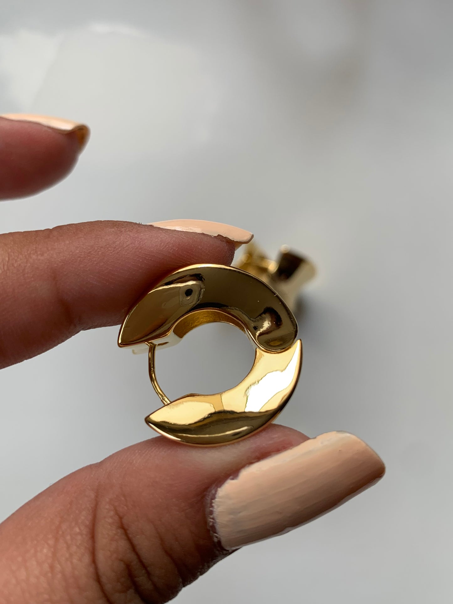 Amanda Hoops