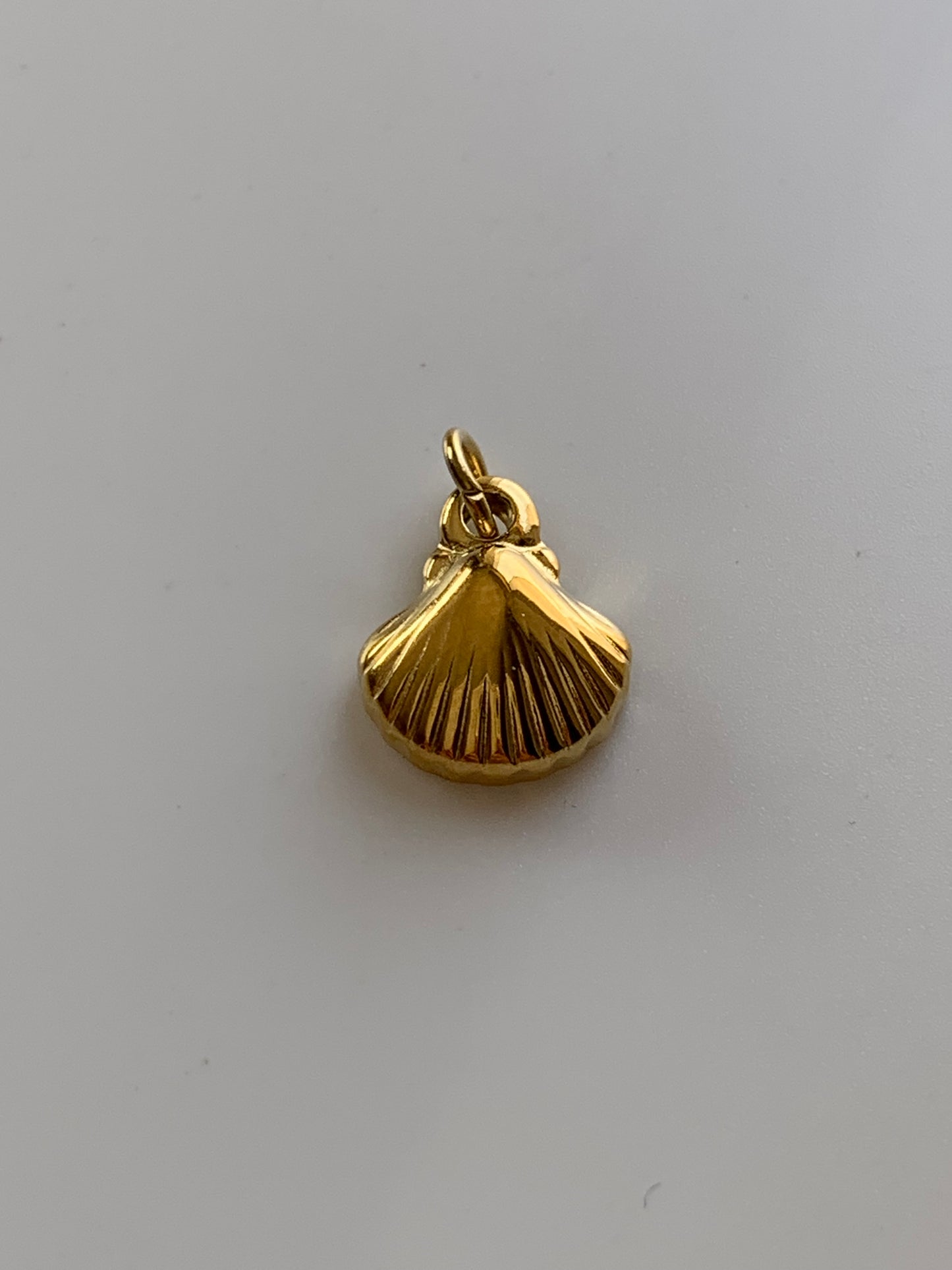 Charm Sea Shell